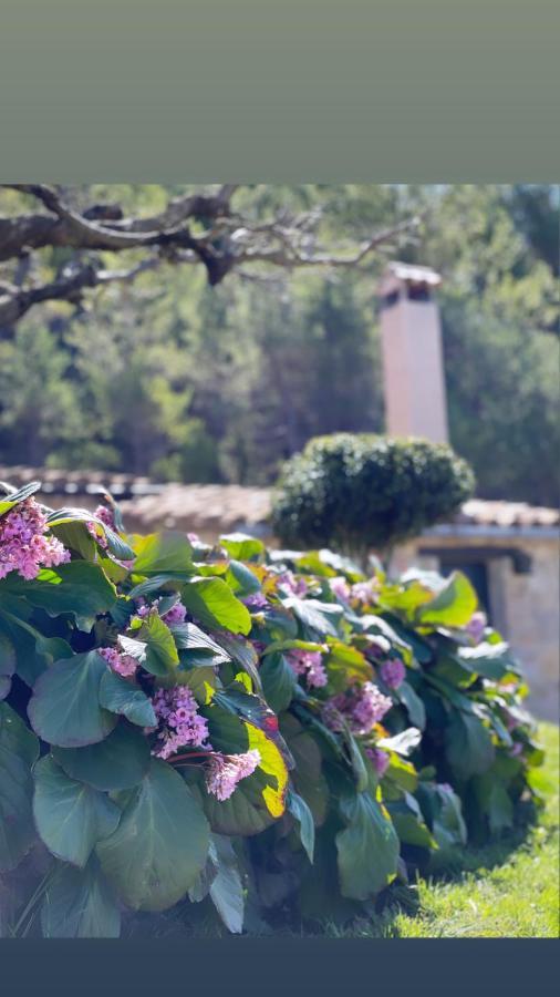 Masia Cap Del Roc Vallcebre Luaran gambar